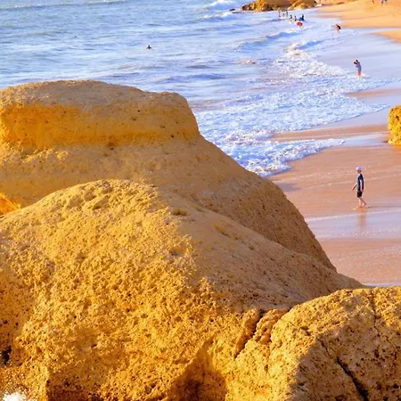 Mc Apart Apartment Albufeira